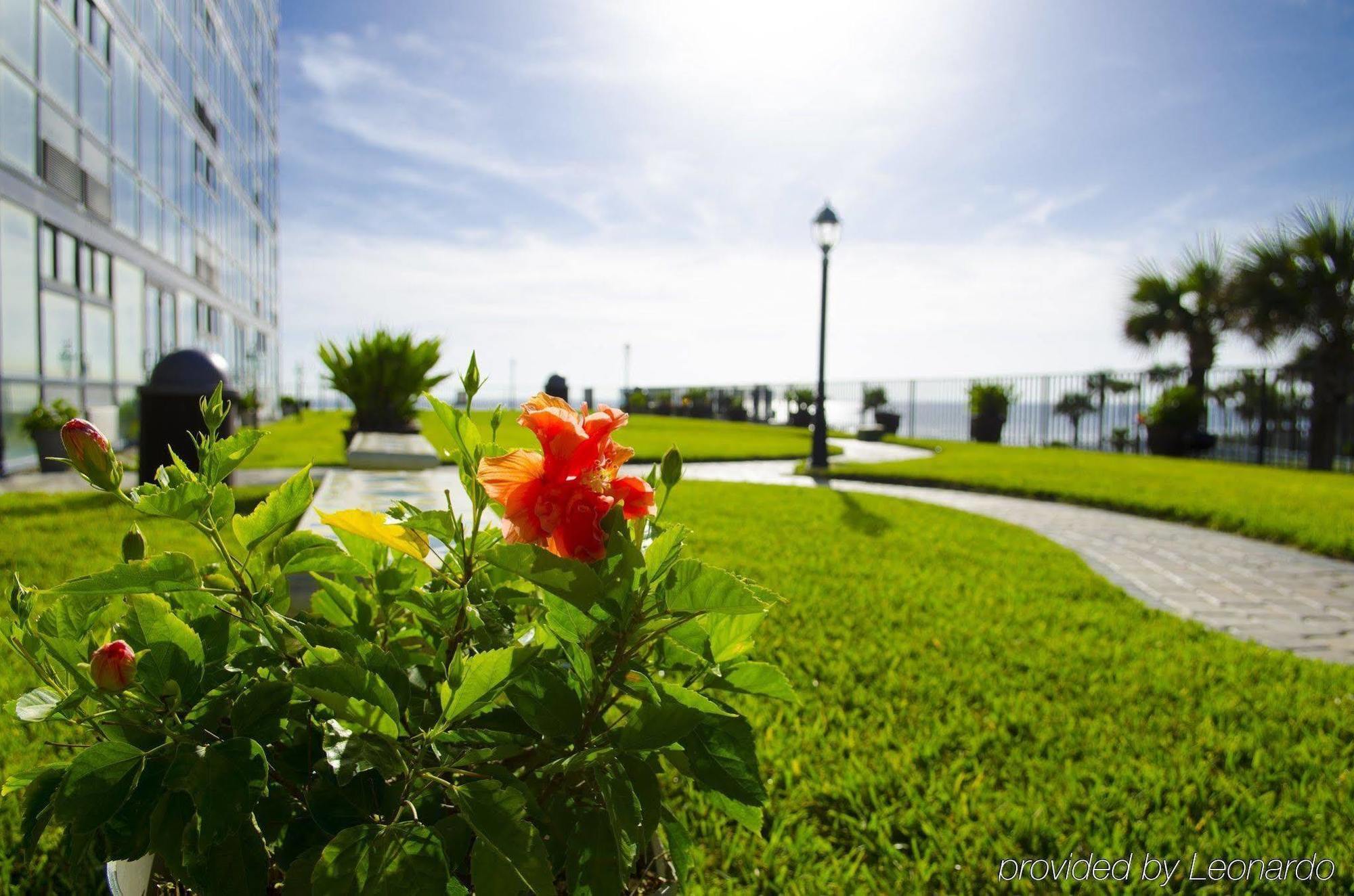 Oceanside Inn Daytona Παραλία Ντειτόνα Εξωτερικό φωτογραφία