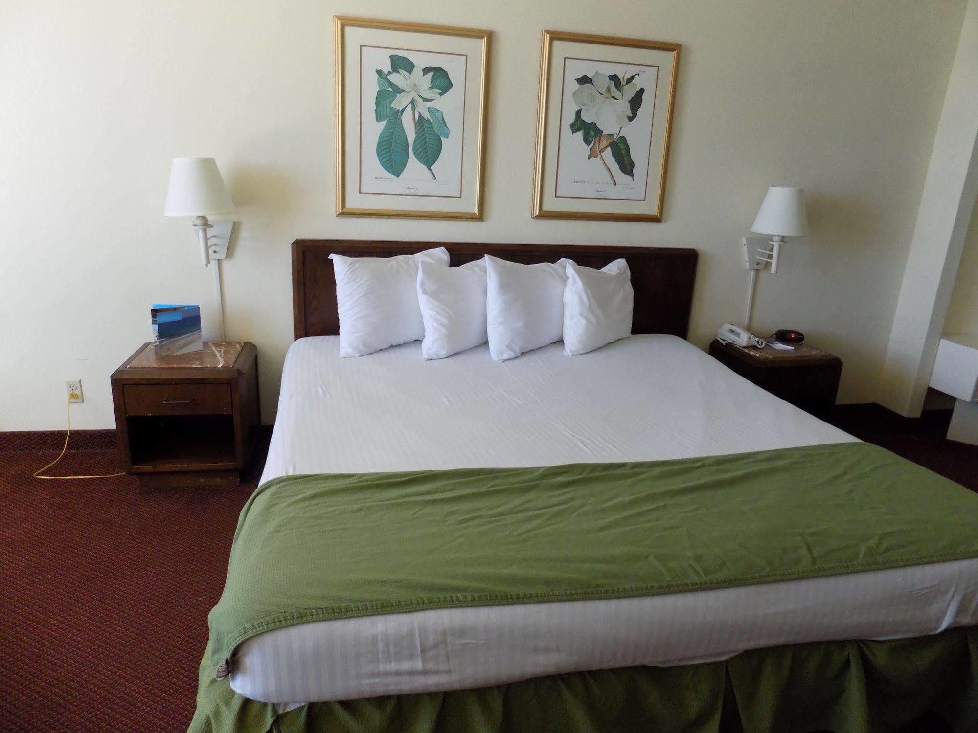 Oceanside Inn Daytona Παραλία Ντειτόνα Εξωτερικό φωτογραφία